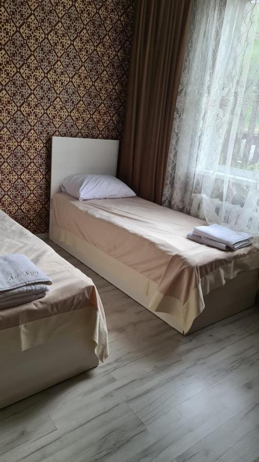 Кольсайские Озера, Гостиница Айару Kurmenty Eksteriør bilde